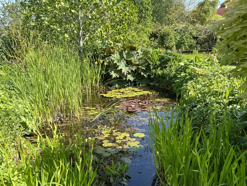 3 Stone Lane